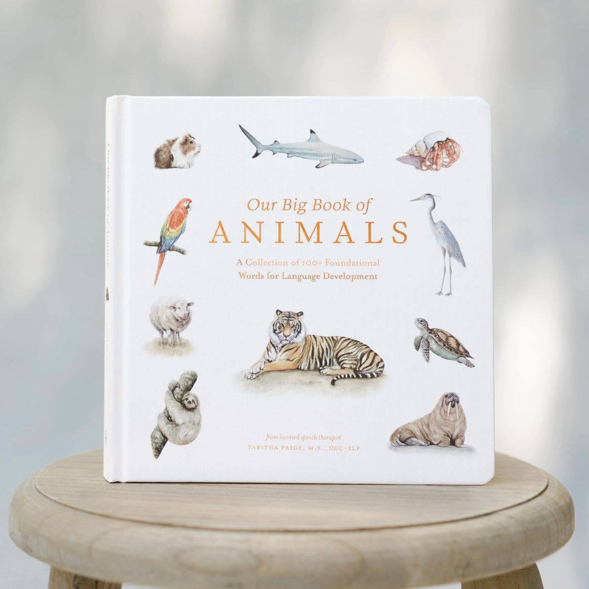Big Book of Animals
