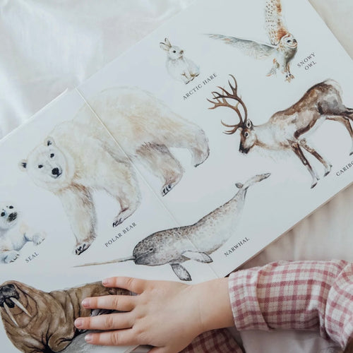 Big Book of Animals